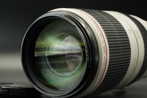 Canon 100 400mm 5 6 - canon, l