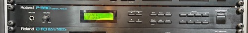 Roland p330 vintage digital - roland,