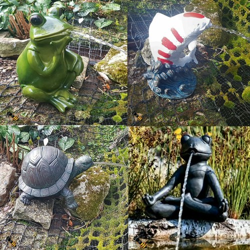 Pond spitter frog fish - frog, koi