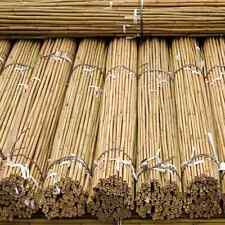 Heavy Duty Plant Support Bamboo Thick Strong Garden Canes Flower Sticks 3ft-8ft