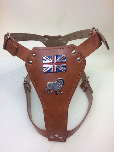 British bulldog leather dog - bulldog,
