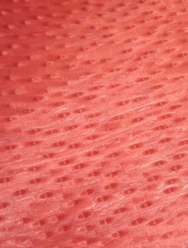 Bird eye red veneer - bird's,