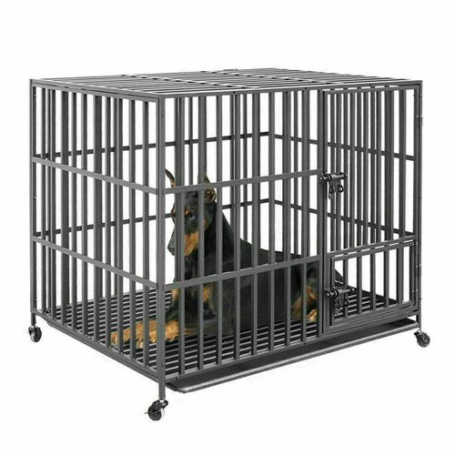 Heavy duty indestructibl dog - indestructibl,
