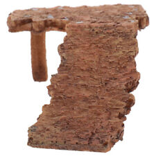  Bearded Dragon Basking