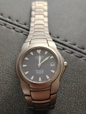 Citizen eco drive perpetual