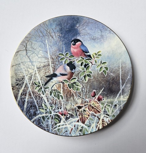 Bull finches frosty - frosty, morning