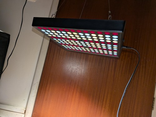 Dragonlight cw2000 led grow - dragonlight,