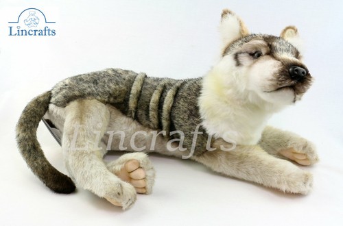 Hansa wolf cub lying 6721 - wolf,