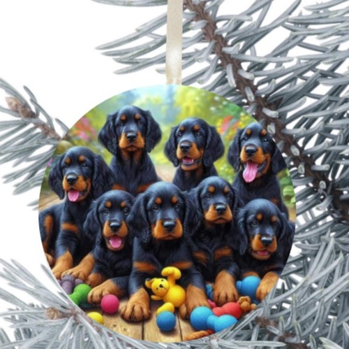 Gordon setter dog hanging - gordon,