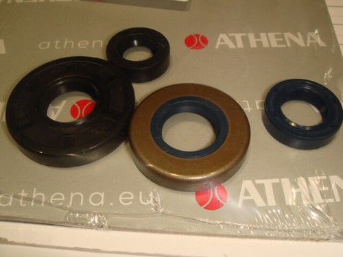 Oil seal engine - seal, minarelli