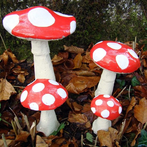 Garden toadstool - garden,