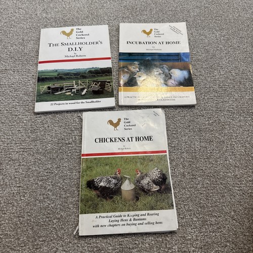 Golden cockerel poultry - golden,