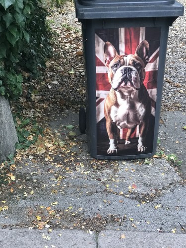Personalised wheelie bin - personalised,
