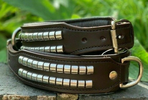 Leather dog collar - leather, studded