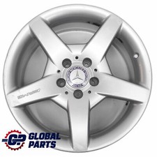 Mercedes R171 AMG Silver Alloy