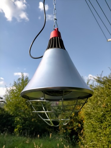Infrared heat lamp for poultry - for,