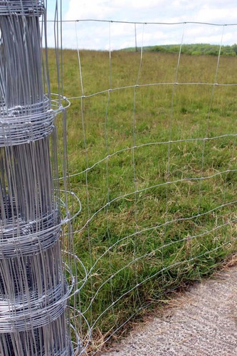 Stock fencing 15 sheep - stock,