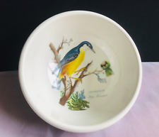 Vintage Portmeirion Birds of Britain Fruit Salad Bowls Soup Breakfast (K)