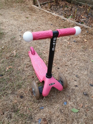 Pink mini micro deluxe light - micro,