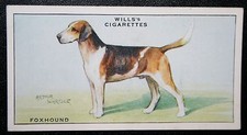 FOXHOUND  Vintage 1930's