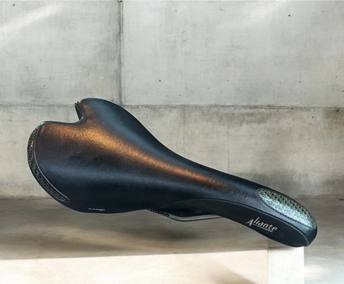 Fizik aliante carbon - fizik,