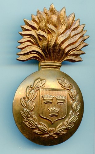 Royal munster fusiliers - munster,