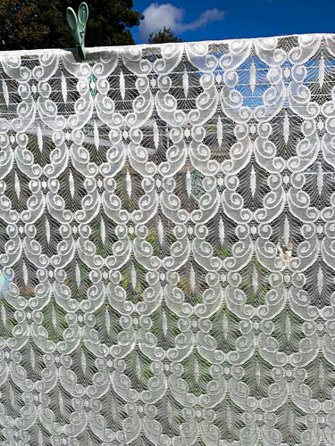 White floral lace sheer - sheer, net