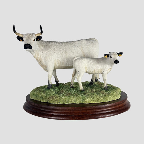 White park cow and calf - park, border