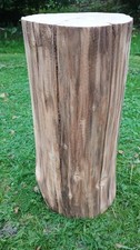 Large tree stump table, hardwood log table, forest side table, natural log trunk