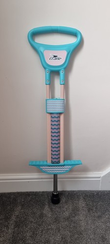 Pogo stick kids