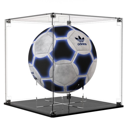 Display case for signed - display,