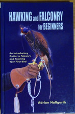 Hawking & Falconry for
