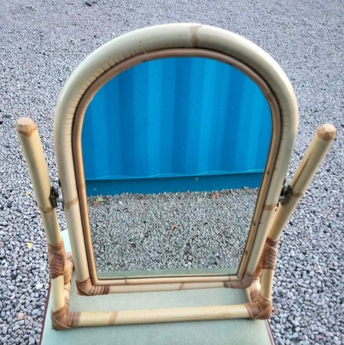 Vintage retro mid - , cane