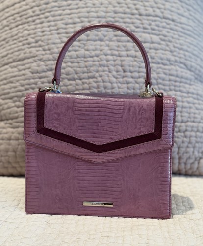 Beautiful brahmin francine - beautiful,
