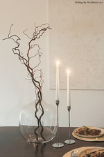 1 Metre Twisted Hazel Corylus