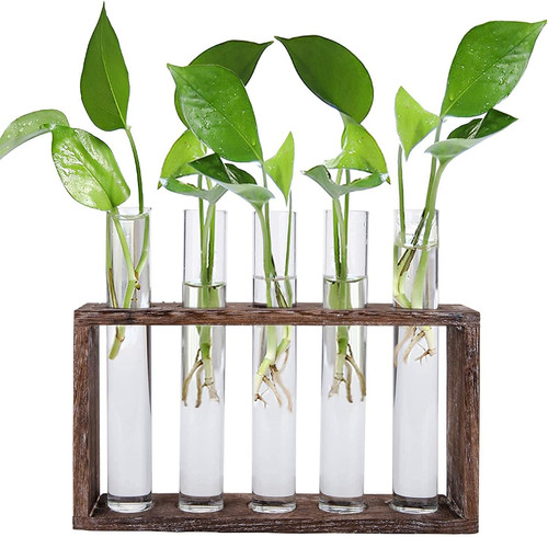Jucoan glass planter - glass,