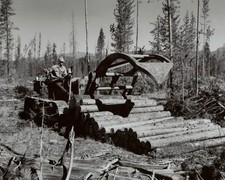 Drott Crawler Skid Loader Pine