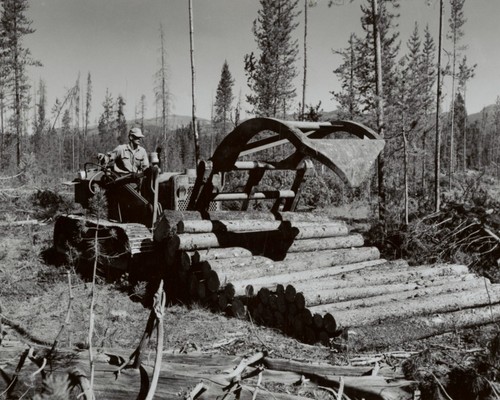 Drott crawler skid - crawler, loader