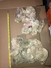 LR9 Two Pieces Of Tonga Dry