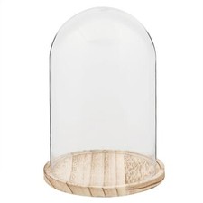 Glass Display Cloche Bell Jar Dome Cover Flower Preservation Wooden Base 25cm