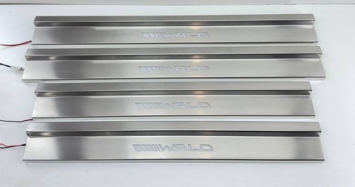 Led door sills scuff plates - sills,