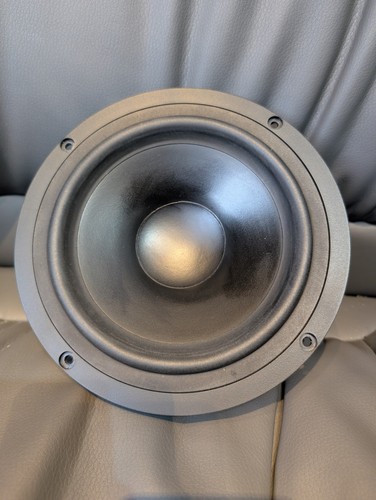 Tannoy mercury custom - mercury,