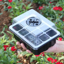 Set of 5 Seed Trays Seedling