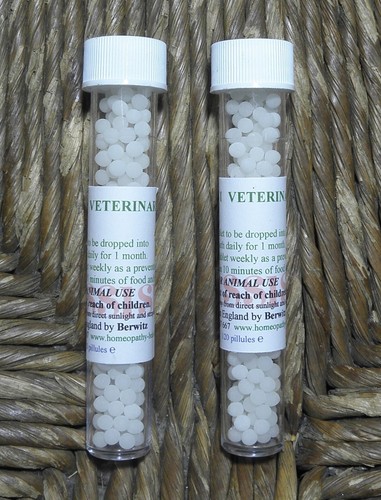 Assisi homeopathic equine - homeopathic,