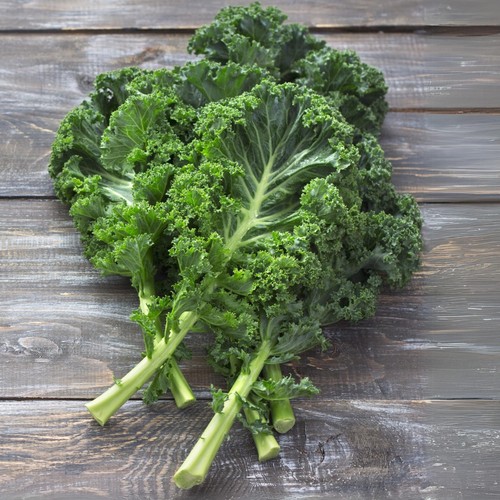 Kale dwarf curled plant - dwarf,