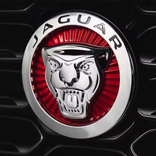 New JAGUAR RED GROWLER GRILLE