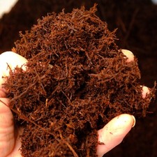 Tree Fern Fibre - Natural- Terrarium/Vivarium-Potting-Propagation
