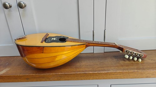 Vintage bowl back mandolin