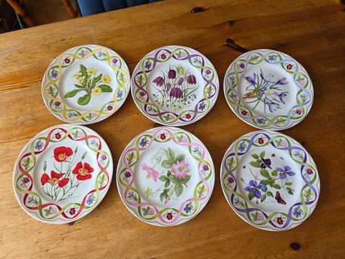 Wedgwood the flower - 6x,