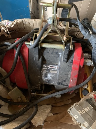 Electric hoist 250kg 500w with - 250kg,